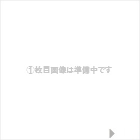 2段ベッド ハイタイプ