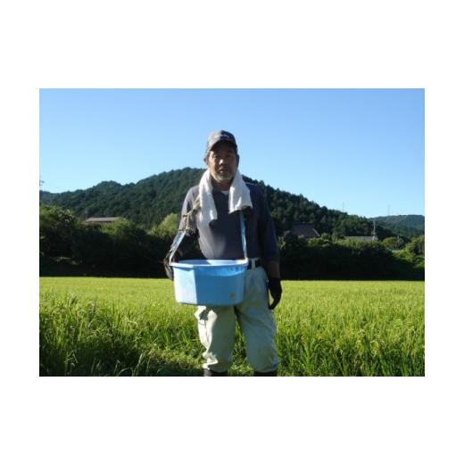 ふるさと納税 兵庫県 市川町 030IM032N.瀬加の美味しいお米（コシヒカリ）精米27kg