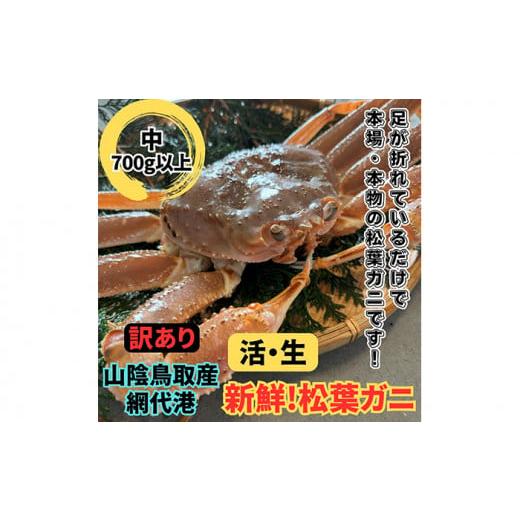ふるさと納税 鳥取県 岩美町 鳥取網代港活！松葉ガニ（中）700g以上