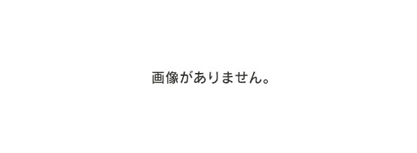 東京地検特捜部の生みの親　河井信太郎『刑法各論』（法学書院，昭和５４年８月１０日初版発行）