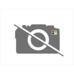 リヤ センタ の アーム レスト [一式] 64380 スバル純正 レガシィ H21年02月〜 64380AJ140VH