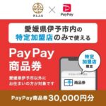 ふるさと納税 伊予市 愛媛県伊予市　PayPay商品券(30，000円分)※地域内の一部の加盟店のみで利用可