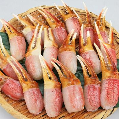 ふるさと納税 岸和田市 生ずわいがに カニしゃぶ用 爪肉 500g(8〜25本)『8』