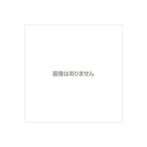 TRP-MA27J-2TK-1-4-0-2KW- TRPポンプ TRP-MA27J-2TK(1/4ハイ-0.2KW) テラル(teraru)